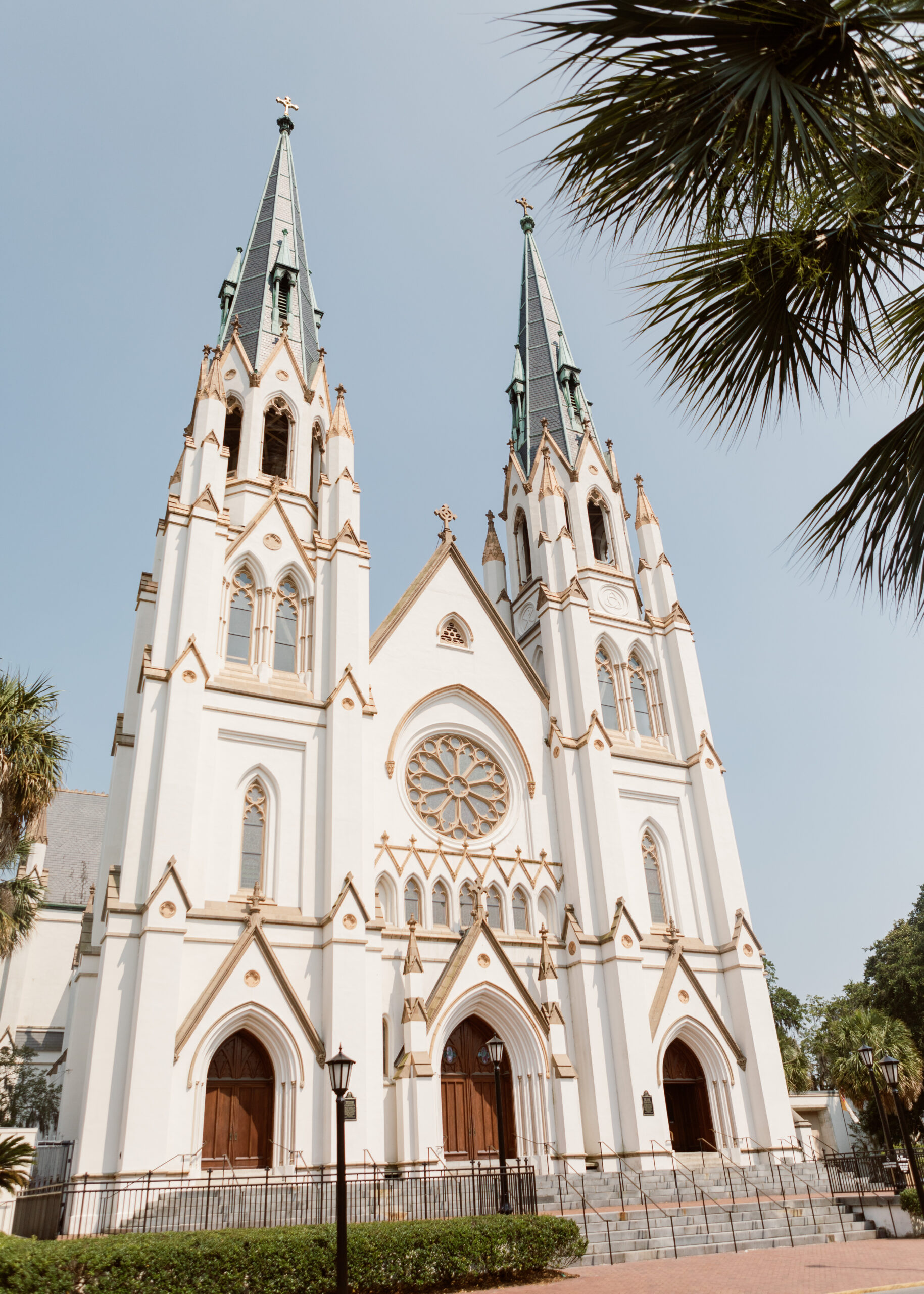 Cathedral Basilica of St. John the Baptist towering into a blue sky with a palm tree's branches peeking into the top right of the photo.