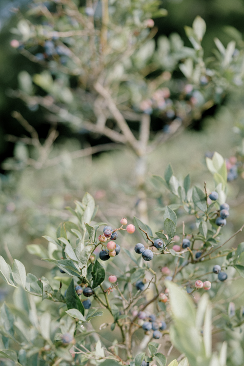 Rachel and Matthew’s elegant wedding day at Hadden Estate in Watkinsville, Georgia